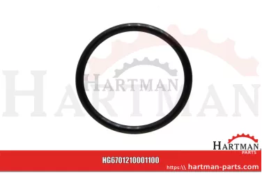 Oring 00005-00387