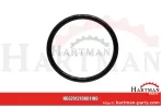 Oring 00005-00387
