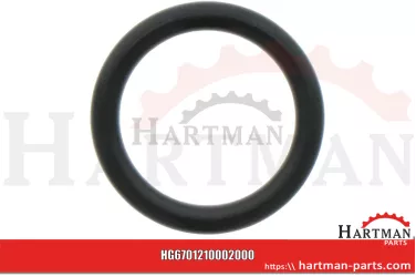 Oring 00005-00396