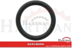 Oring 00005-00396