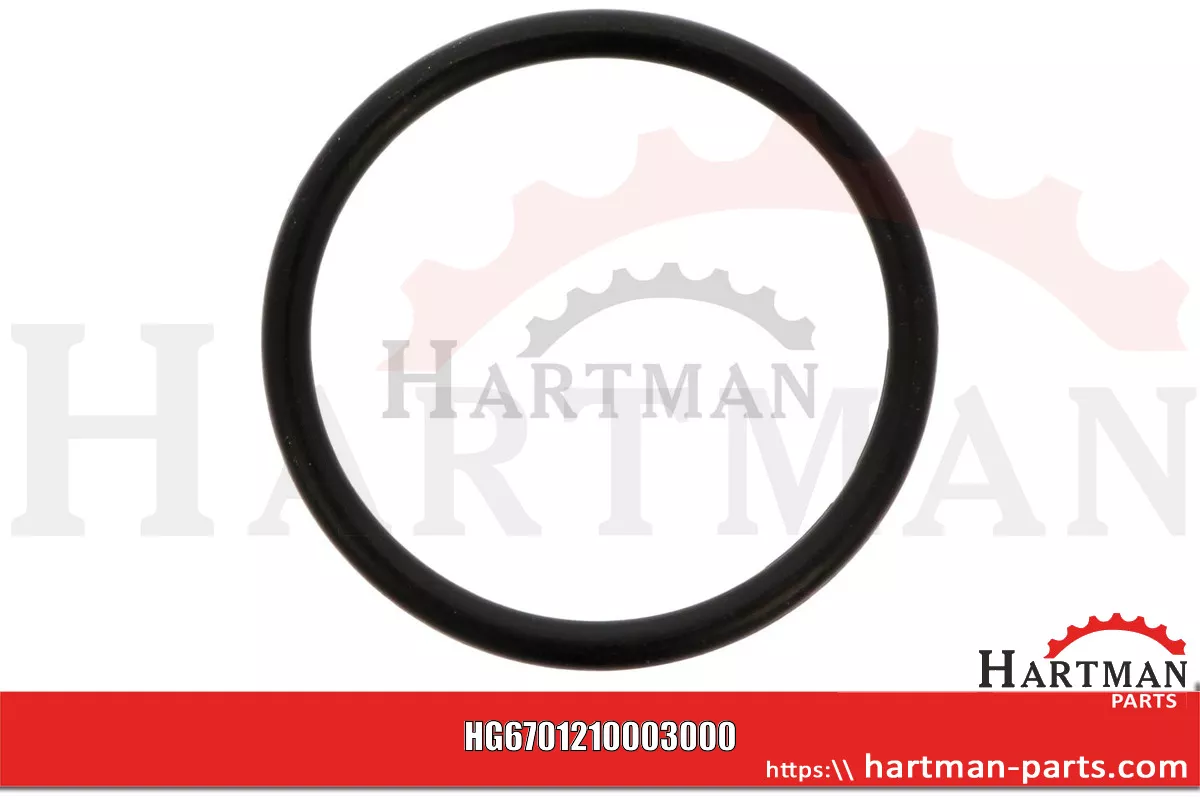 Oring 00005-00404
