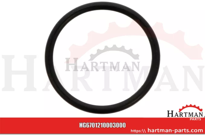 Oring 00005-00404
