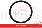 Oring 00005-00404