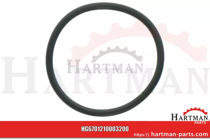 Oring 00005-00406