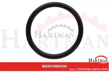 Oring 00005-00408