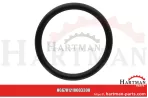 Oring 00005-00408