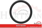 Oring 00005-00410