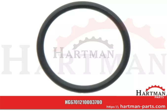 Oring 00005-00412