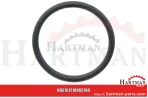Oring 00005-00412