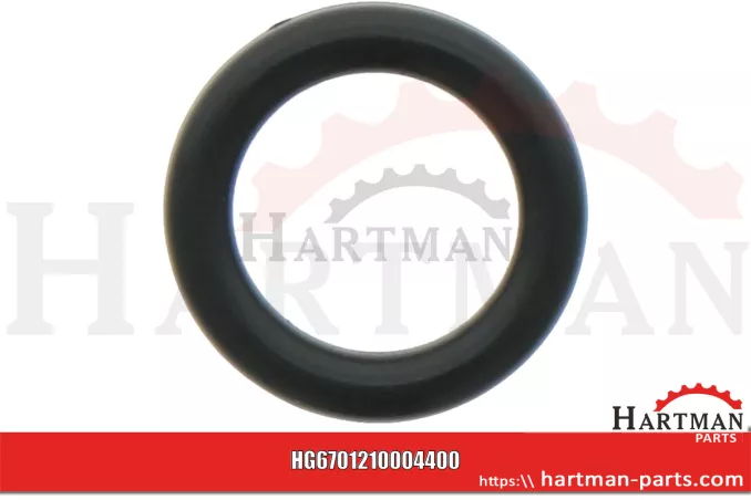 Oring 00005-00419