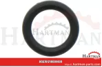 Oring 00005-00419