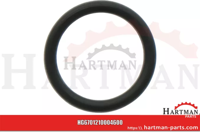 Oring 00005-00421