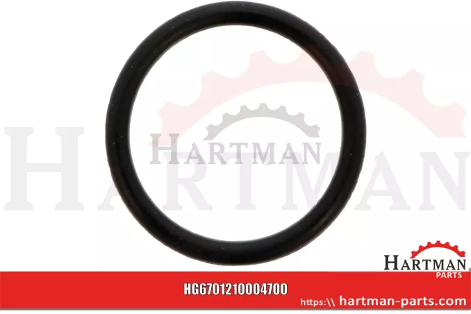 Oring 00005-00422