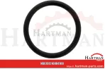 Oring 00005-00422