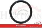 Oring 00005-00467