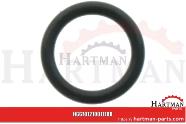 Oring 00005-00485