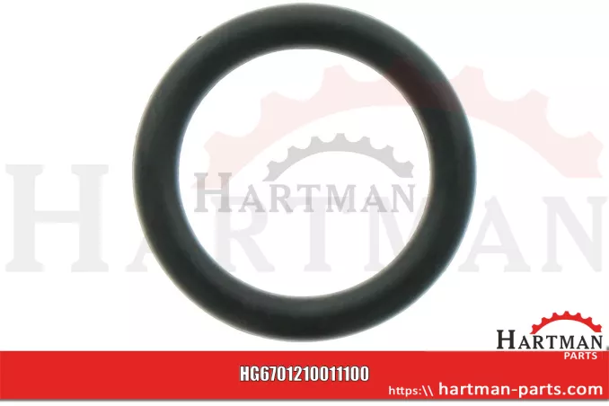 Oring 00005-00485