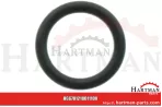 Oring 00005-00485
