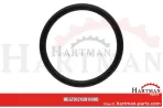Oring 00005-00488