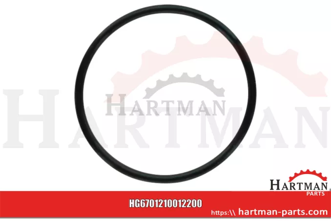 Oring 00005-00494