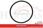 Oring 00005-00494