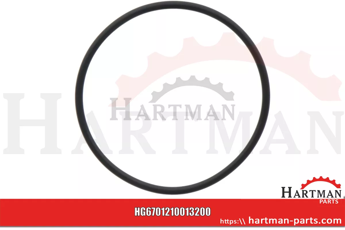 Oring 00005-00502