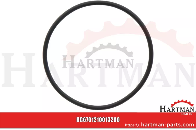 Oring 00005-00502