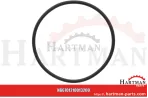 Oring 00005-00502