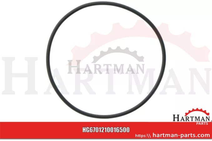 Oring 00005-00527