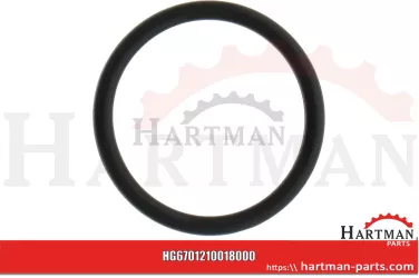 Oring 00005-00541