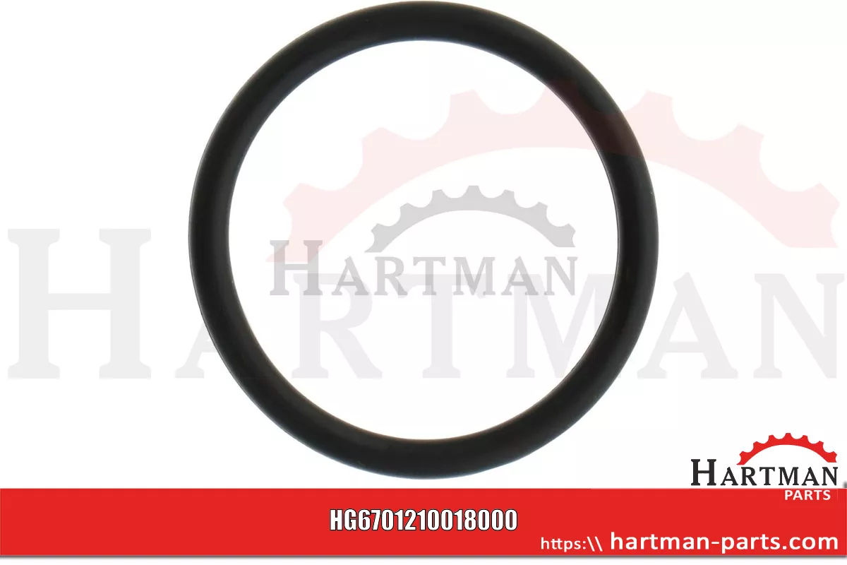Oring 00005-00541