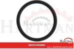 Oring 00005-00541