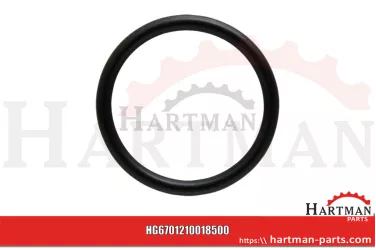 Oring 00005-00545