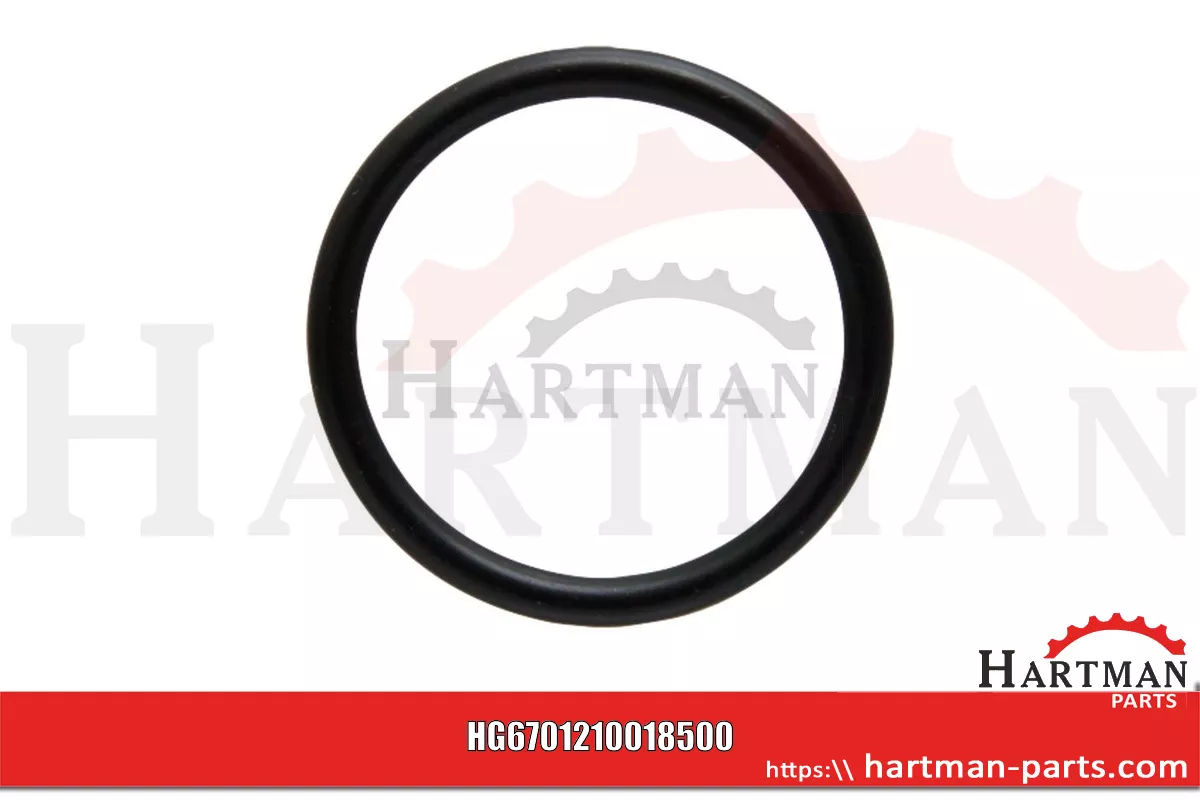Oring 00005-00545