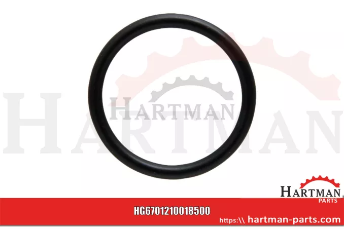 Oring 00005-00545