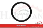 Oring 00005-00545