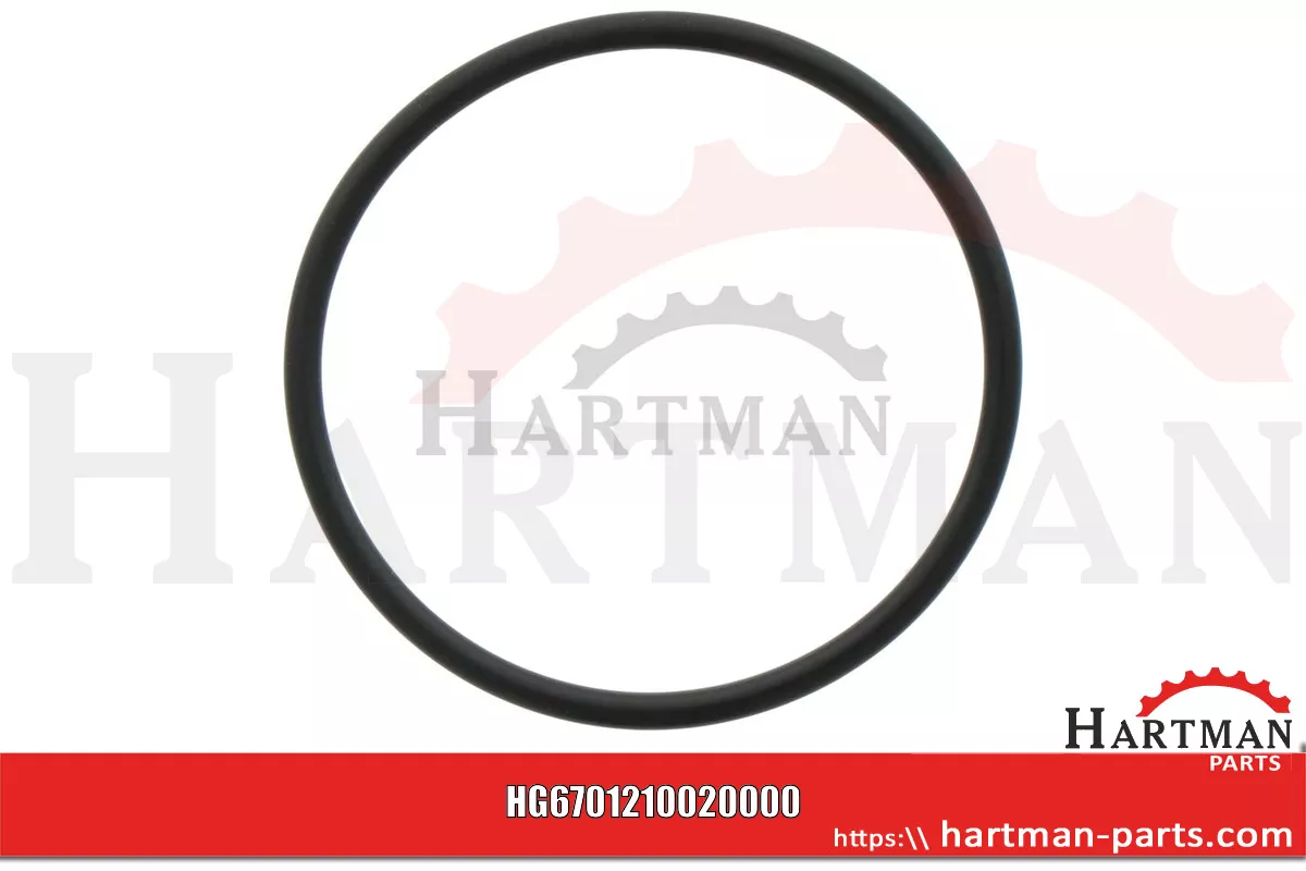 Oring 00005-00560