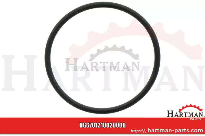 Oring 00005-00560