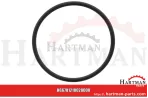 Oring 00005-00560