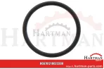 Oring 00005-00593