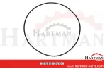 Oring 00005-00614