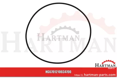 Oring 00005-00615