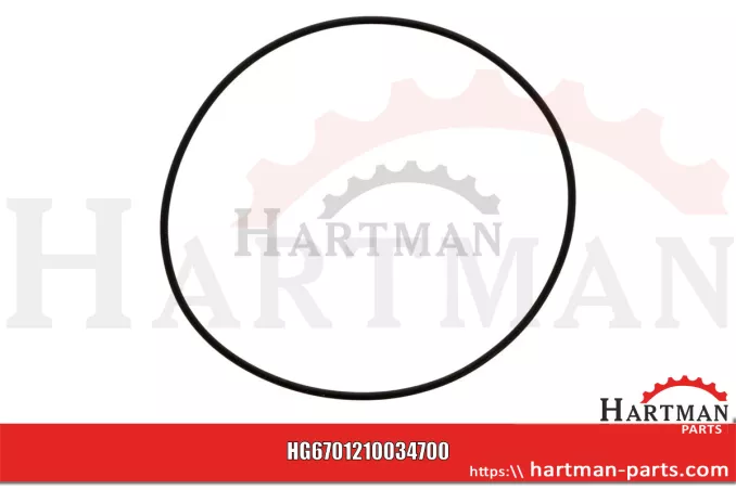 Oring 00005-00615