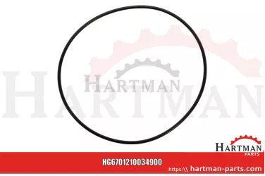 Oring 00005-00616