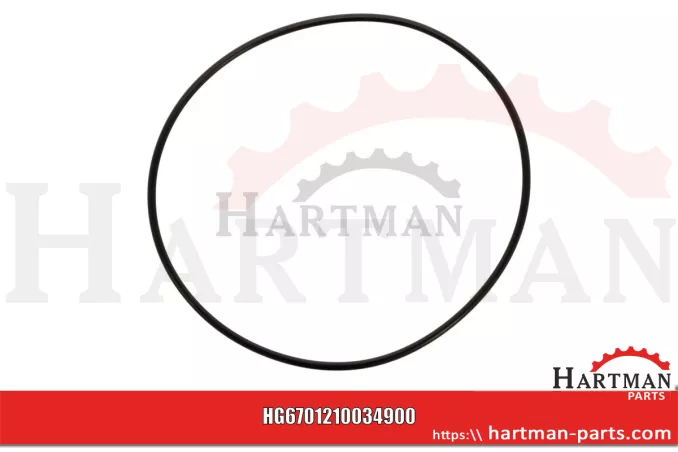 Oring 00005-00616