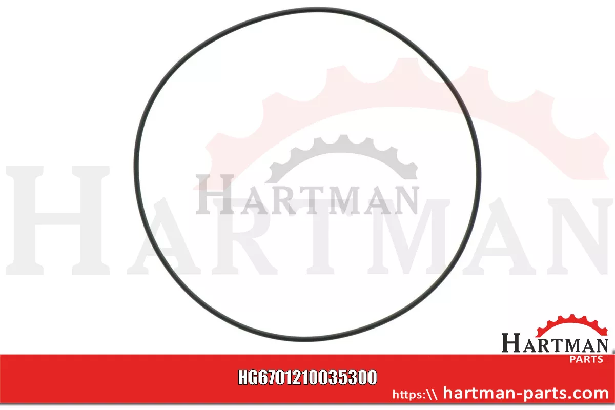 Oring 00005-00620