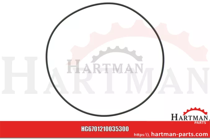 Oring 00005-00620