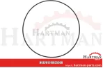 Oring 00005-00626