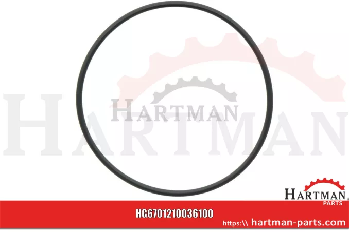 Oring 00005-00627