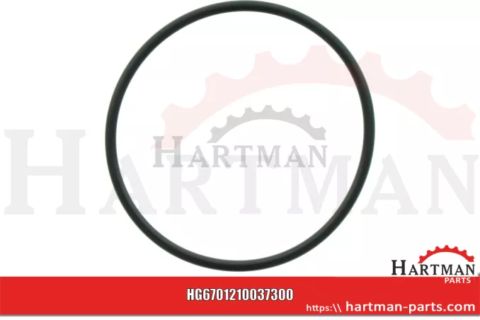 Oring 00005-00639